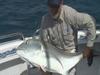 GT'S on the Great Barrier Reef